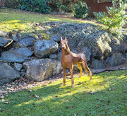 Doberman Metal Sculpture, Large Decorative Metal Dog Sculpture